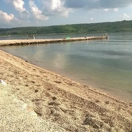 Roko